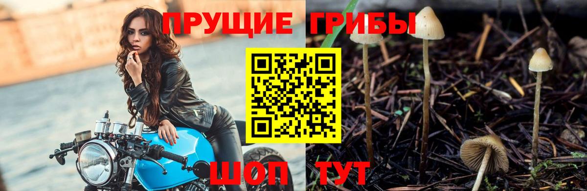  КОКАИН Нижнекамск