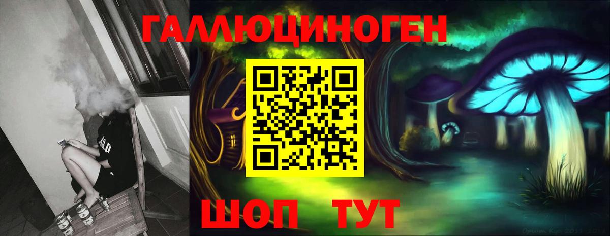 Нижнекамск  купить закладку  Вход с VPN  Псилоцибиновые грибы Psilocybe  Псилоцибиновые грибы мицелий 